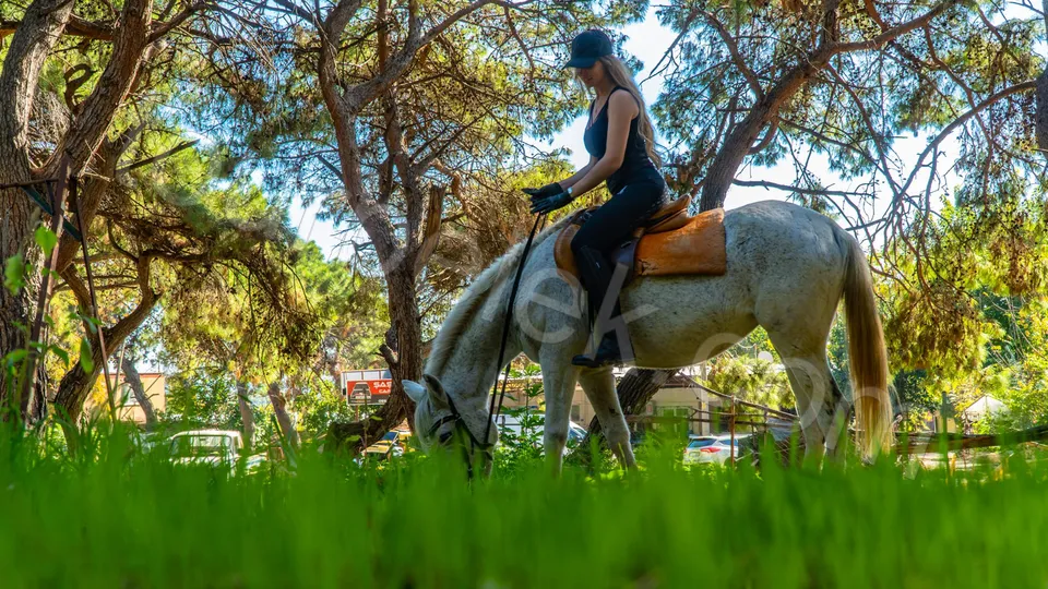 Belek Horse Riding photo 0