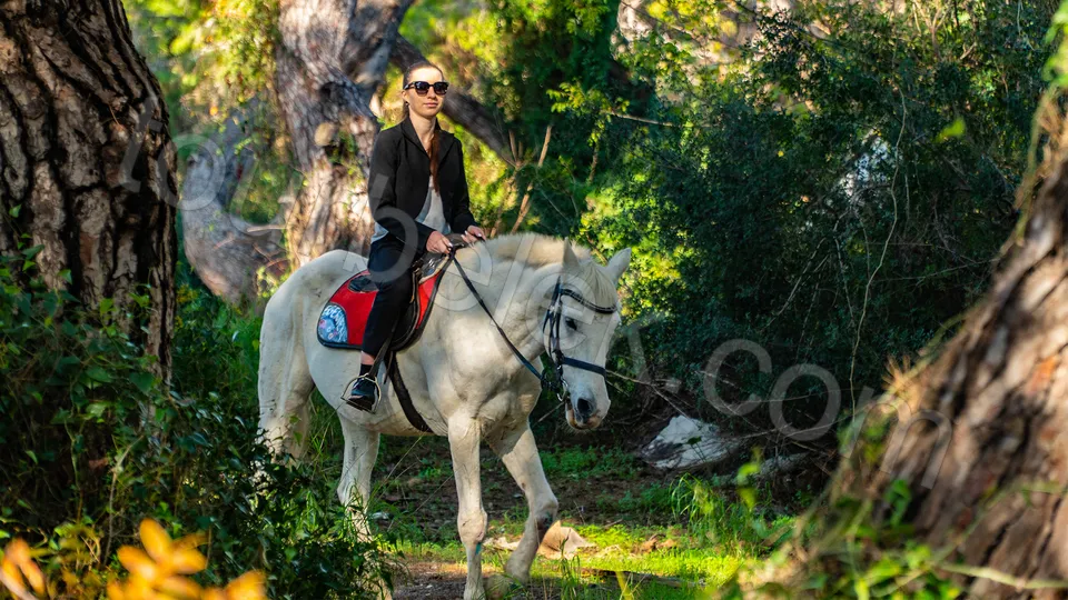 Belek Horse Riding photo 9
