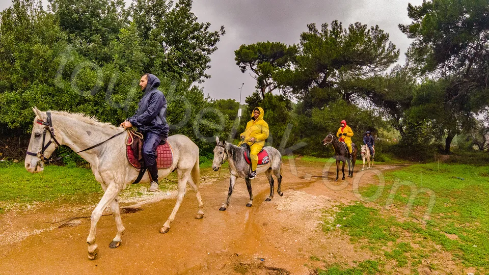 Belek Horse Riding photo 17