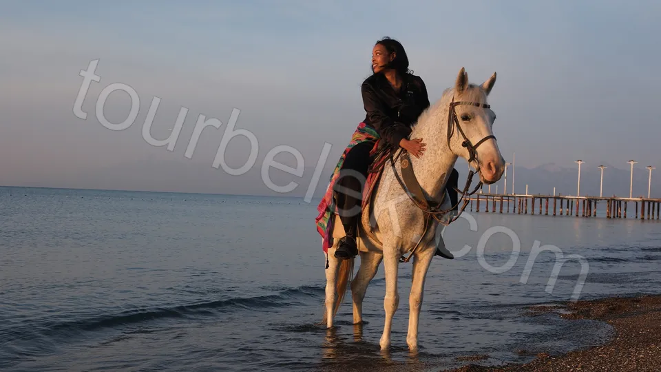 Belek Horse Riding photo 1