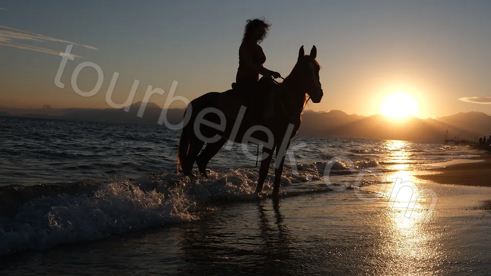 Belek Horse Riding photo 2