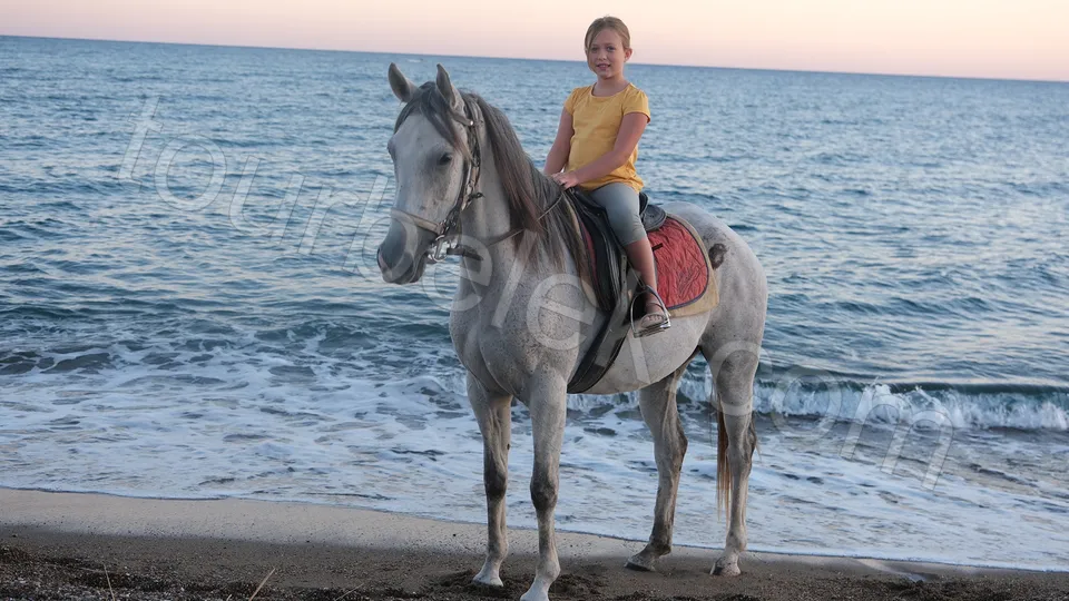 Belek Horse Riding photo 3