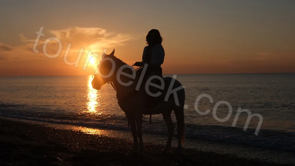 Belek Horse Riding photo 5