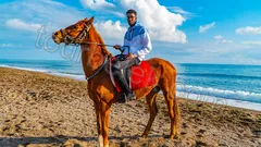 Belek Horse Riding thumb 13