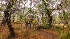 Belek Horse Riding thumb 16