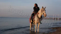 Belek Horse Riding thumb 1