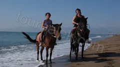 Belek Horse Riding thumb 4