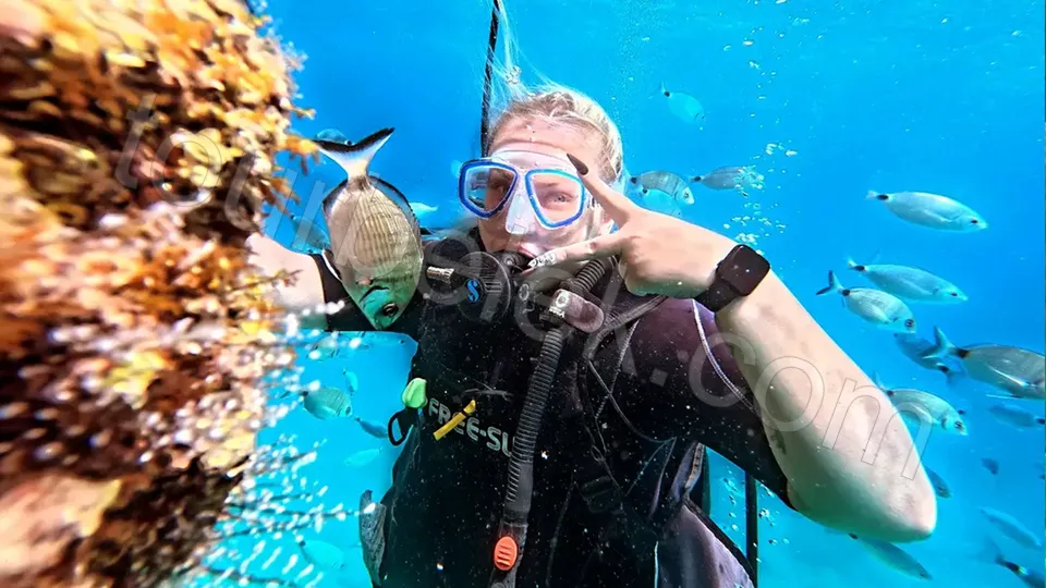 Belek Scuba Diving photo 0