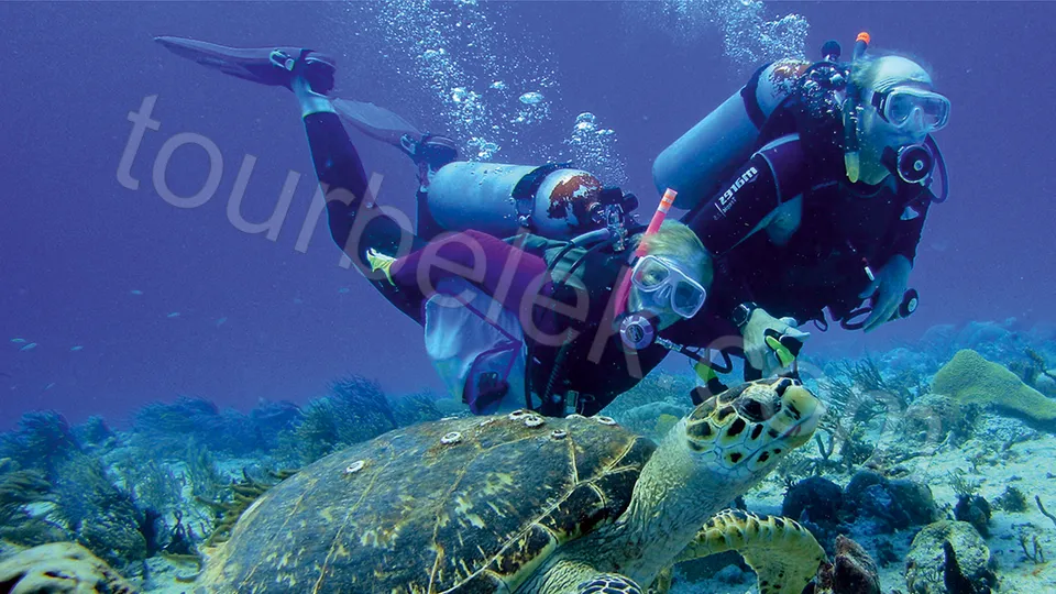 Belek Scuba Diving photo 16