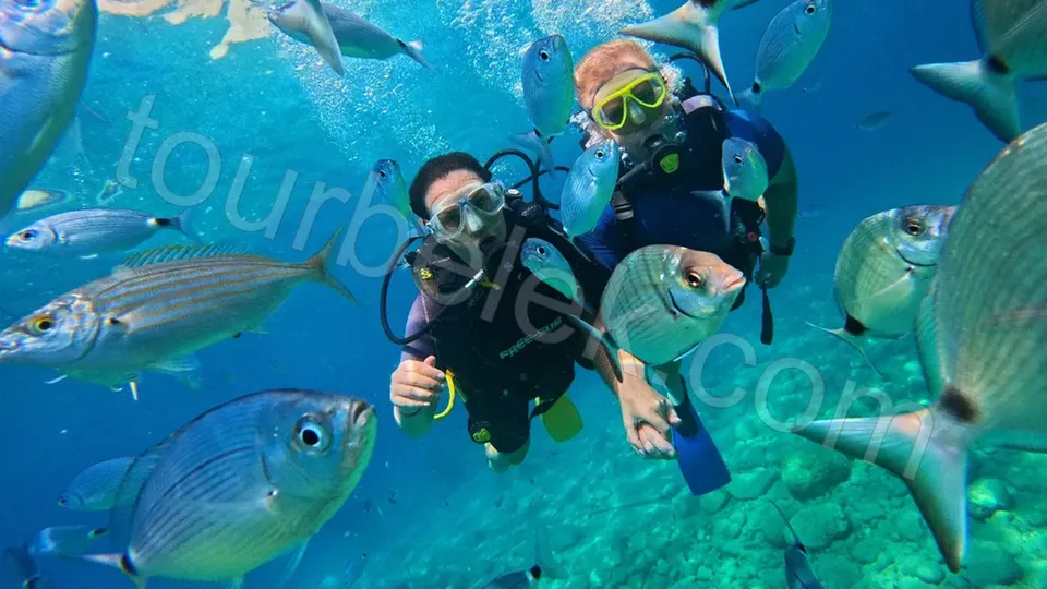 Belek Scuba Diving photo 19