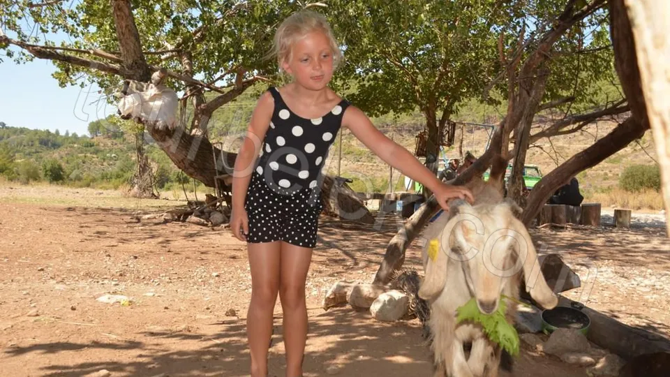 Belek Jeep Safari photo 19