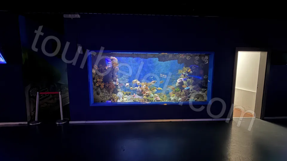 Antalya Aquarium Tour from Belek photo 0