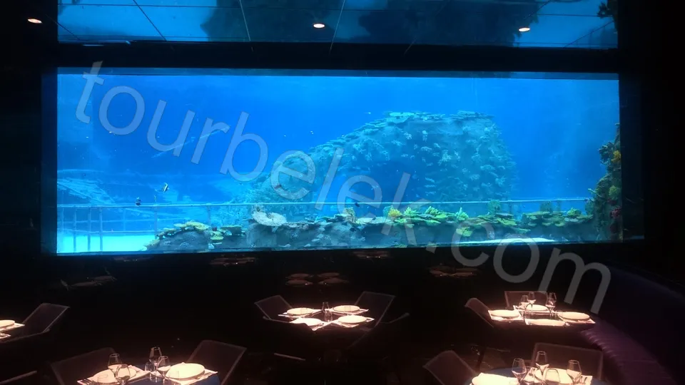 Antalya Aquarium Tour from Belek photo 12