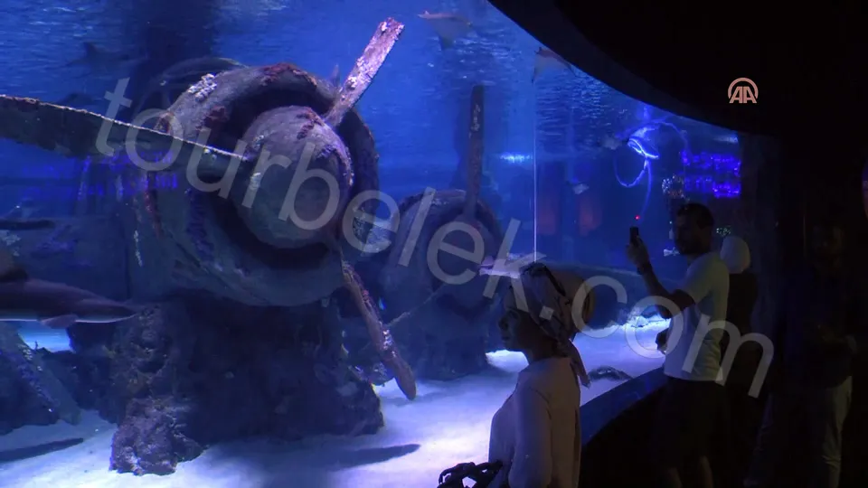 Antalya Aquarium Tour from Belek photo 13