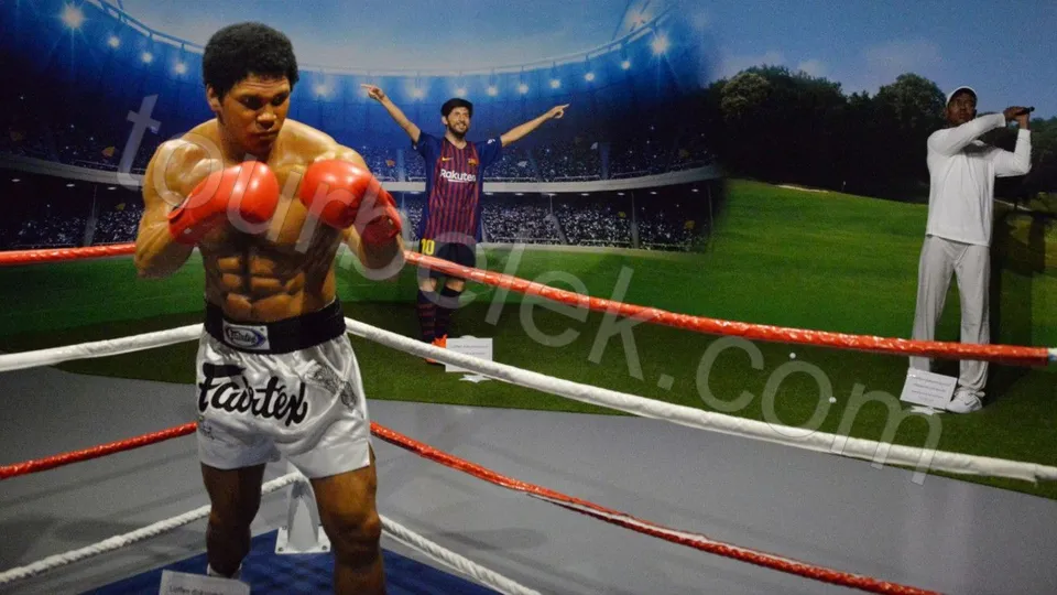 Antalya Aquarium Tour from Belek photo 15