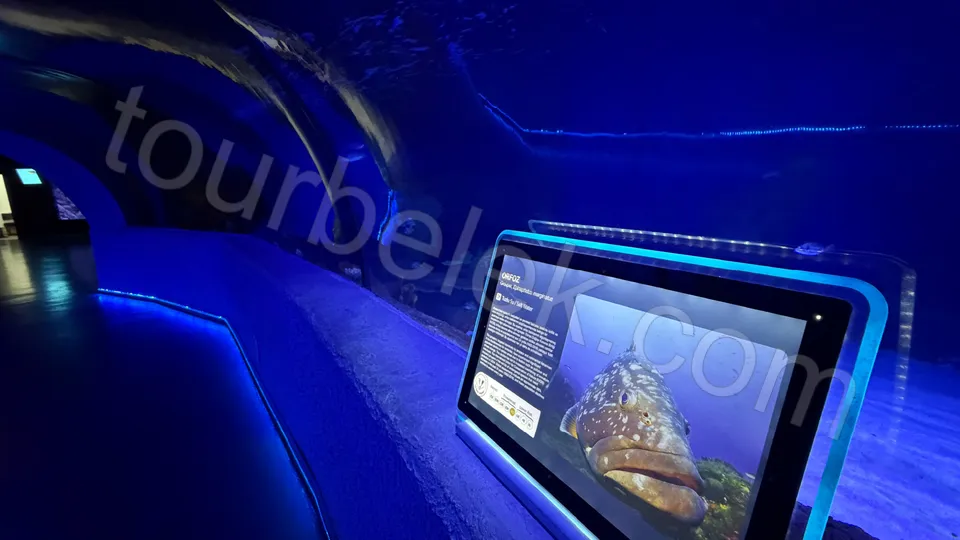 Antalya Aquarium Tour from Belek photo 1