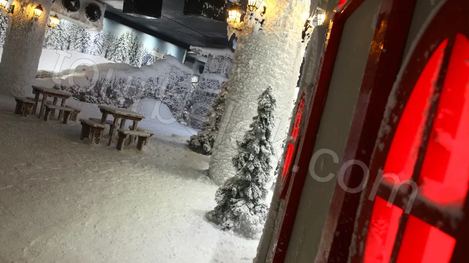 Antalya Aquarium Tour from Belek photo 17