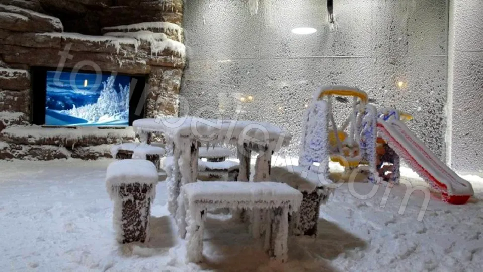 Antalya Aquarium Tour from Belek photo 18