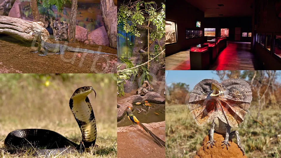 Antalya Aquarium Tour from Belek photo 21