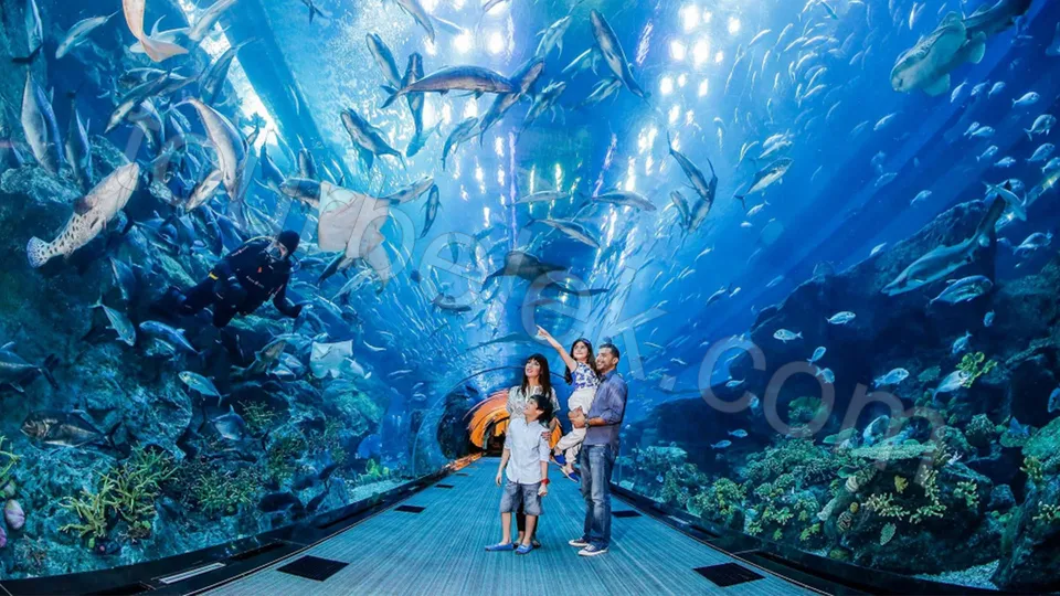 Antalya Aquarium Tour from Belek photo 22