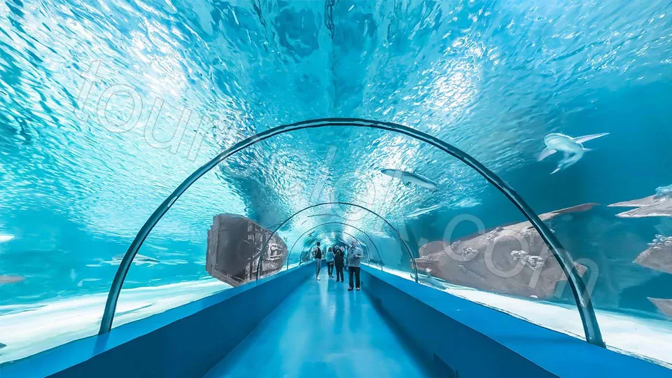 Antalya Aquarium Tour from Belek photo 24