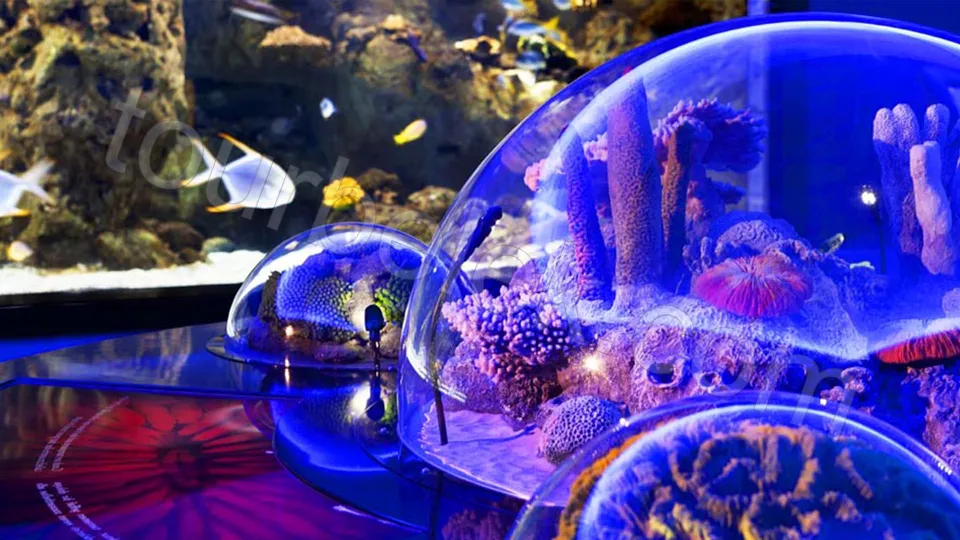 Antalya Aquarium Tour from Belek photo 25