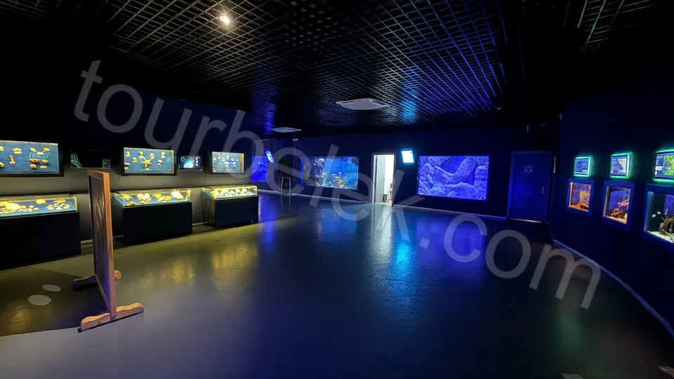 Antalya Aquarium Tour from Belek photo 2