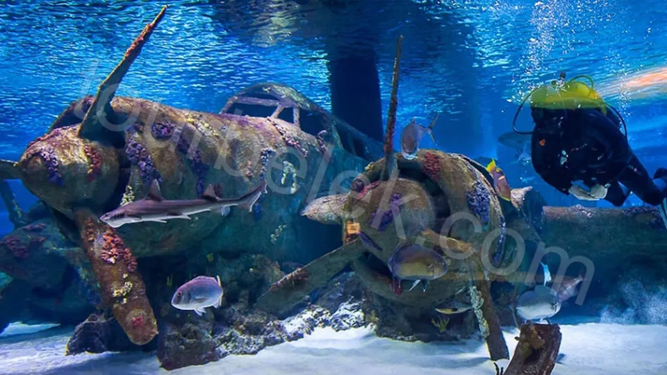 Antalya Aquarium Tour from Belek photo 28
