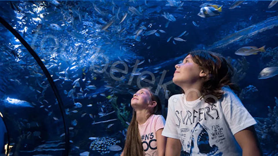 Antalya Aquarium Tour from Belek photo 31