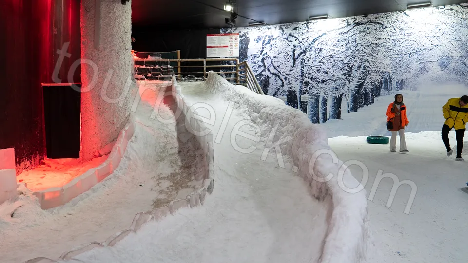 Antalya Aquarium Tour from Belek photo 32