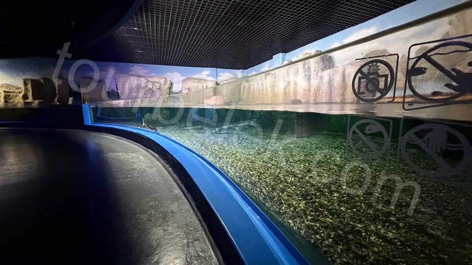 Antalya Aquarium Tour from Belek photo 33