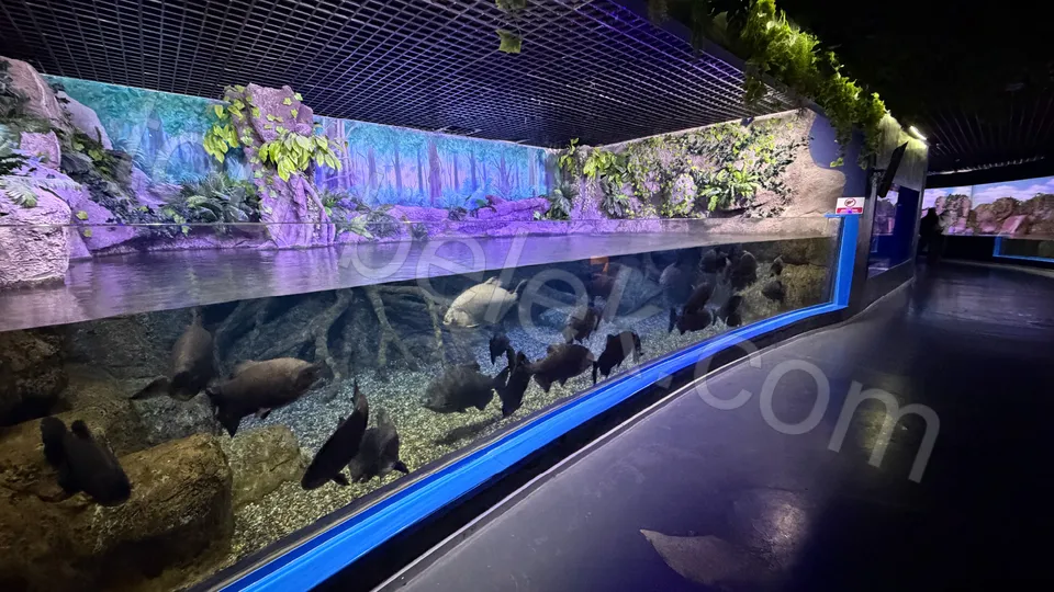 Antalya Aquarium Tour from Belek photo 34