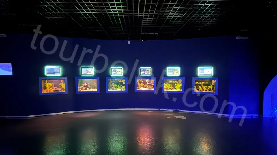 Antalya Aquarium Tour from Belek photo 35