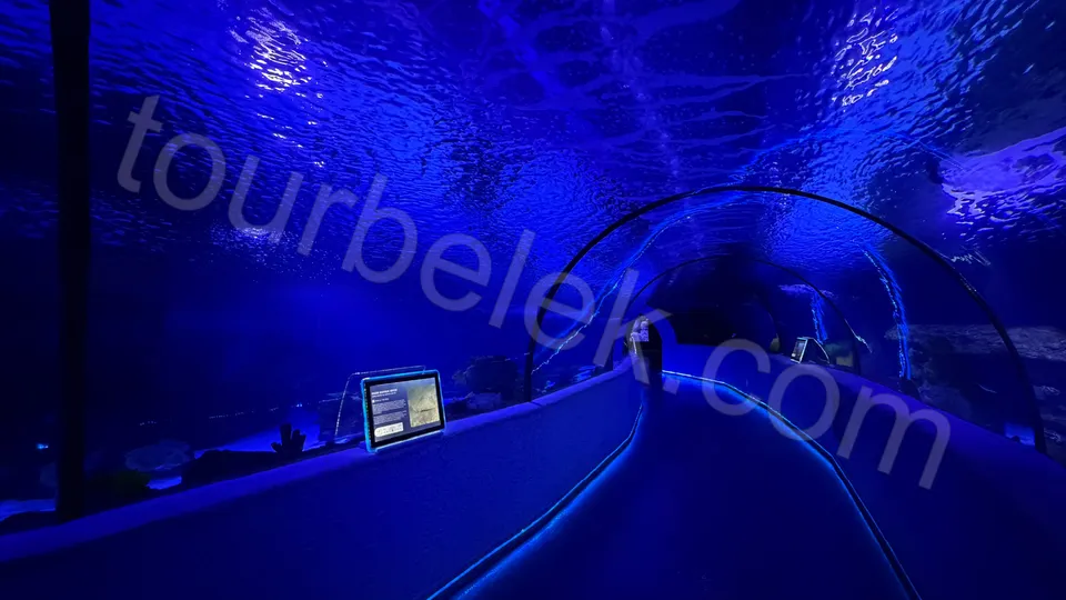 Antalya Aquarium Tour from Belek photo 3
