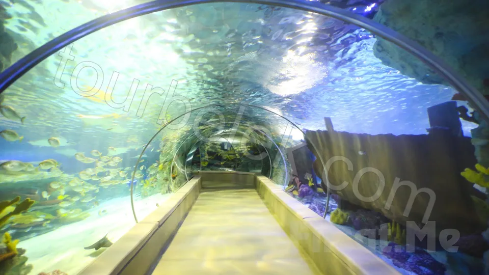 Antalya Aquarium Tour from Belek photo 5