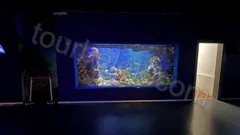 Antalya Aquarium Tour from Belek thumb 0