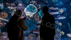 Antalya Aquarium Tour from Belek thumb 8