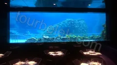 Antalya Aquarium Tour from Belek thumb 12