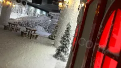 Antalya Aquarium Tour from Belek thumb 17