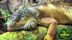 Antalya Aquarium Tour from Belek thumb 20