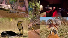 Antalya Aquarium Tour from Belek thumb 21