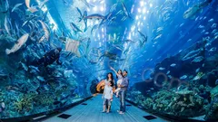 Antalya Aquarium Tour from Belek thumb 22