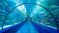 Antalya Aquarium Tour from Belek thumb 23