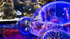 Antalya Aquarium Tour from Belek thumb 25