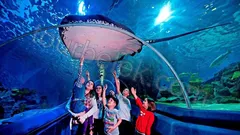 Antalya Aquarium Tour from Belek thumb 26