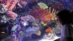 Antalya Aquarium Tour from Belek thumb 29
