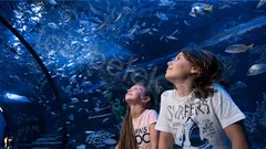 Antalya Aquarium Tour from Belek thumb 31