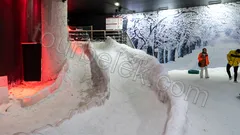 Antalya Aquarium Tour from Belek thumb 32