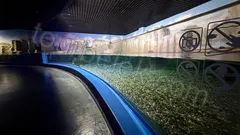 Antalya Aquarium Tour from Belek thumb 33