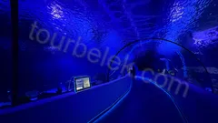 Antalya Aquarium Tour from Belek thumb 3